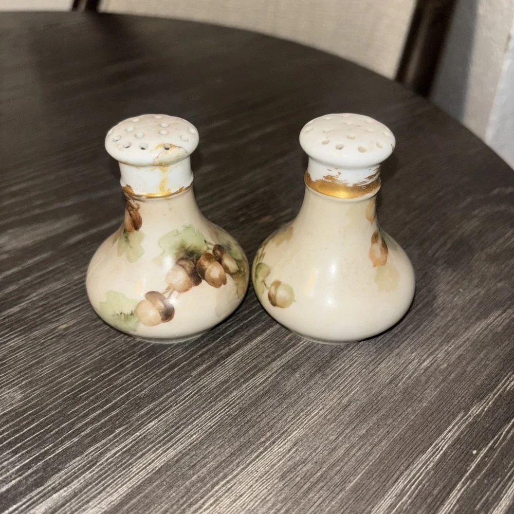 MZ Moritz Zdekauer Salt Pepper Shakers Hand Painted Gold‎ 1884-1909
